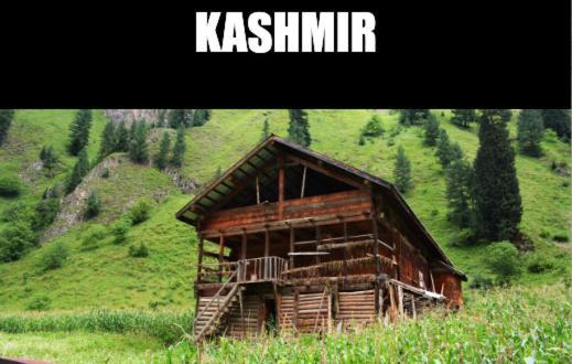 Kashmir Hill Town Hotel Srinagar  Exterior photo